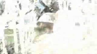 Mando Diao-Good Morning Herr Horst