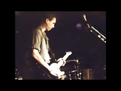 The Feelies  -  Only Life