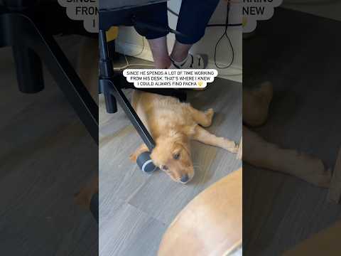 The bond between Pacha and her dad needs to be studied 😭💛