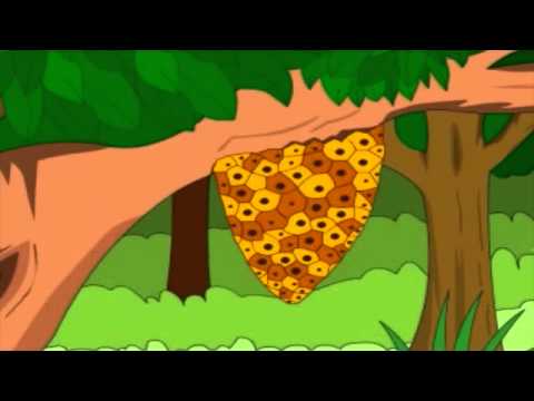 Aesop's Tale - The Bear & The Bees