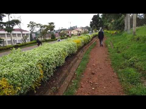Avoid this this man#kisii#travel#short#shortvideos@Traveller254 @graccey327