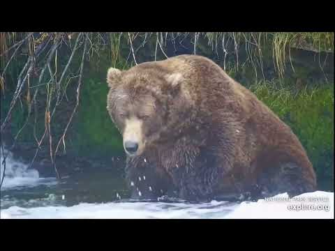 10.16.23  Who’s our favorite grumpy bear? 856!