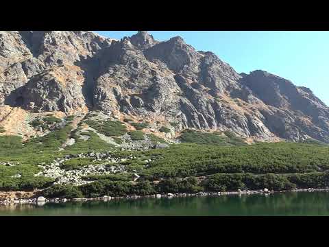 Za rána za rosy   Arzén