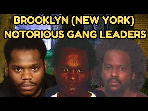 Brooklyn (New York) Gang Leaders: The Real Shot-Callers Behind the Bloodshed