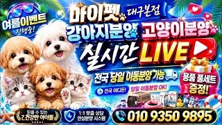 유튜브 썸네일