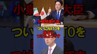 ㊗️50万再生!!小泉防衛大臣、ついにNATOを味方につけたようです #政治 #自民党 #レーダー照射 #小泉 #ゆっくり解説