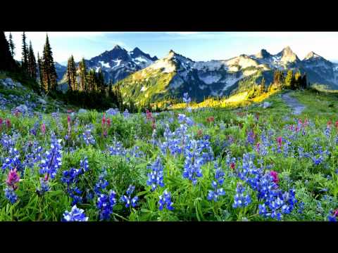 Jakob Ludwig Felix Mendelssohn Bartholdy - Classical Music - Part 39
