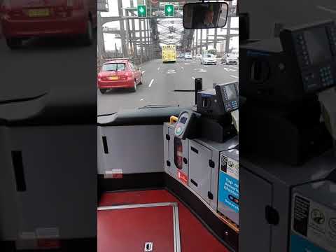 Sydney bus