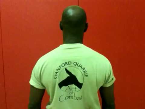 StanfordQuarrieArtOfCombat - Wave Strikes!