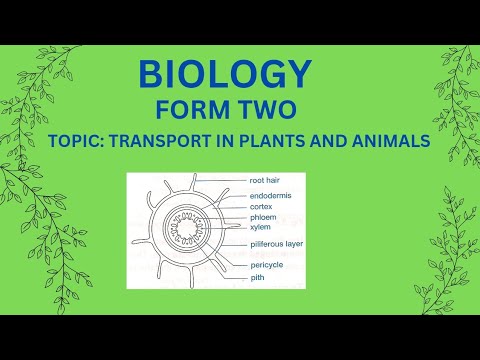 FORM 2: BIOLOGY                                  TOPIC 1: TRANSPORT IN PLANTS AND ANIMALS (LESSON 1)
