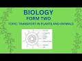 FORM 2: BIOLOGY                                  TOPIC 1: TRANSPORT IN PLANTS AND ANIMALS (LESSON 1)