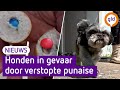 GLD Nieuws 21 mei 2023
