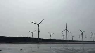 preview picture of video '20150331 高美溼地18支風力發電機全動了起來兩隻埃及聖鷺也忙著在溼地走動覓食 IMG 3217'