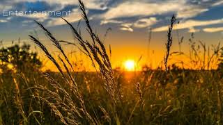 Download lagu Cinta yang kau ganti mp3