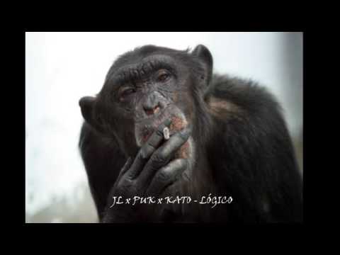 JL x PUK x KATO - LÓGICO