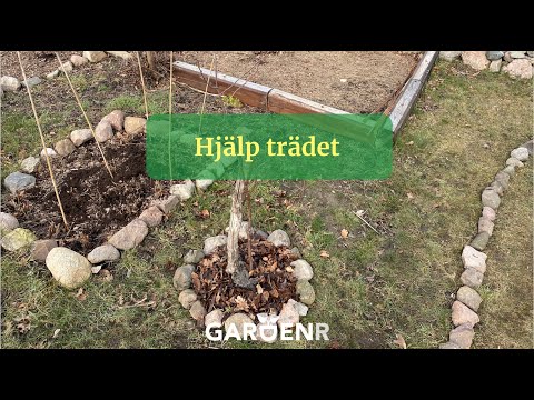 Hjälp trädet - Trädgårdshacks med GardenR