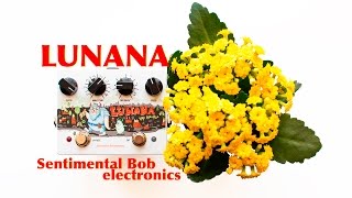 Video thumbnail for Sentimental Bob electronics - Lunana (Tap Tremolo) by ShurSoma