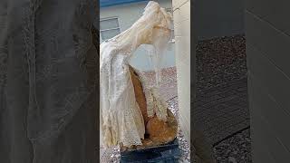 #haunteditems