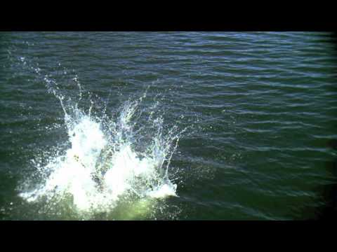 Girl Jumping into Water in High Speed