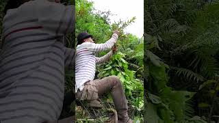 Talian ko muna ang mga naputol kong kumpay