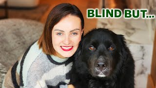 I went blind BUT… do these 9 things make up for it?