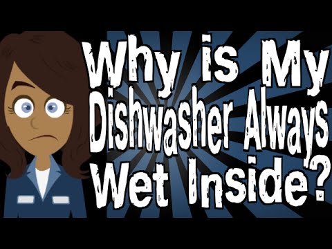 download lagu mp3 mp4 Should You Open Dishwasher After Cycle, download lagu Should You Open Dishwasher After Cycle gratis, unduh video klip Should You Open Dishwasher After Cycle