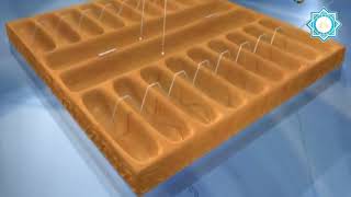 Тоғызқұмалақ