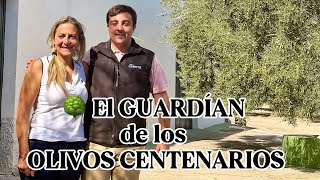 “El Cortijo de Garbancito” 🌳 The Guardian of the Centenary Olive Trees