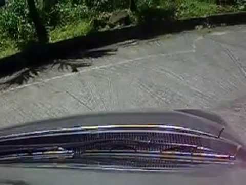 comment prendre un iguane