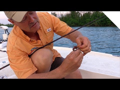 How to Rig Live Worms - 3 Effective Ways