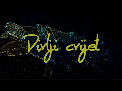 Goran Bare & Majke - Divlji cvijet (Official lyric video)