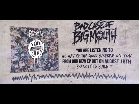 Bad Case - We Wasted the Good Surprise on You (Lyric Video)
