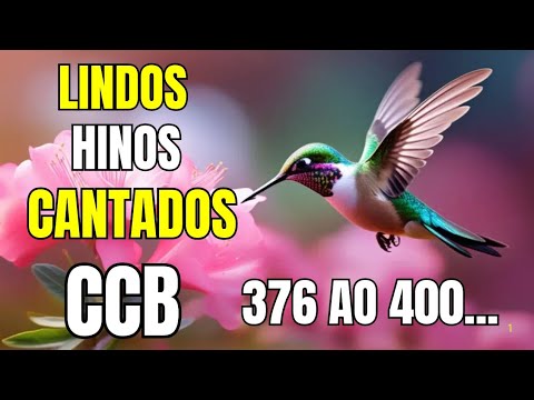 LINDOS HINOS CCB CANTADOS 376,377,378,379,380,381,382,383,384,385,386, 387,388,389,390,391,392...