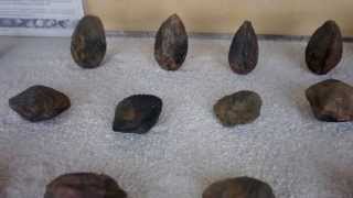 preview picture of video 'Almejas fósiles en el Museo del Fósil Cronosaurio en Villa de Leyva'