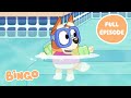 Bingo In The Pool Bluey Series 1 FULL EPISODE Bingo Official Channel