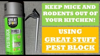 Keep Mice and Rodents out of your Kitchen and House Using Great Stuff Pest Block