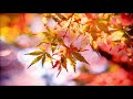 Music 30 Seconds For Relaxing