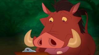 Timon &amp; Pumbaa&#39;s Wild About Safety: Safety Smart: At Home! (2008) (Widescreen)