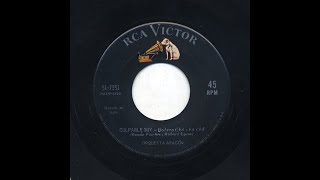 Culpable Soy Lyrics English Translation