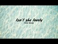 Stevie Wonder Isn T She Lovely Pianocover By PianoOryx