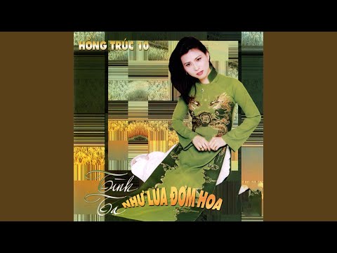 Tình Ta Như Lúa Đơm Hoa