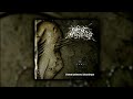 Circle Of Dead Children Clotted Symmetric Sexual Organ FULL SPLIT