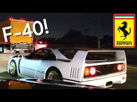 RAREST Ferrari?! F40-White spit fire spotted #southerncalifornia