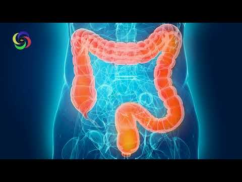 Monaural 176HZ  | Organ Colon Relief | Intestinal Healing Meditation Music
