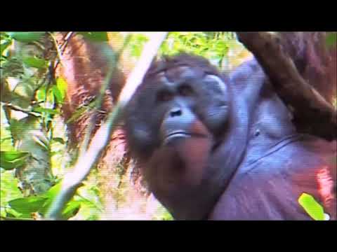 Jay Galiano & Leena Justin ¨My City¨ (Duet Version ) Documentary