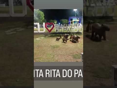 cidade santa rita do pardo ms #santaritadopardo #matogrossodosul