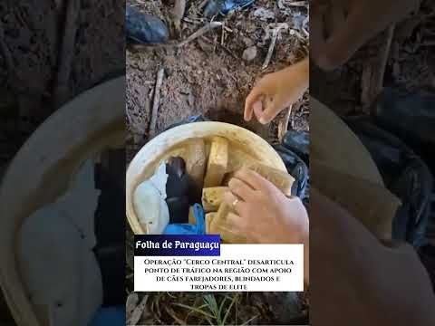 Operação prende 5 e apreende 8kg de drogas em Martinópolis