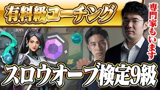 【コーチング】この壁、俺じゃなきゃ見逃しちゃうねby岸大河 ダイア/セージ/スプリット【VALORANT】