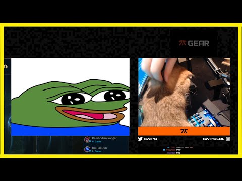 Bwipo shows cat on stream *widebwipohappy*