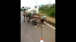 preview picture of video 'Baliza com a carroça nos cones em Patrocinio - MG'